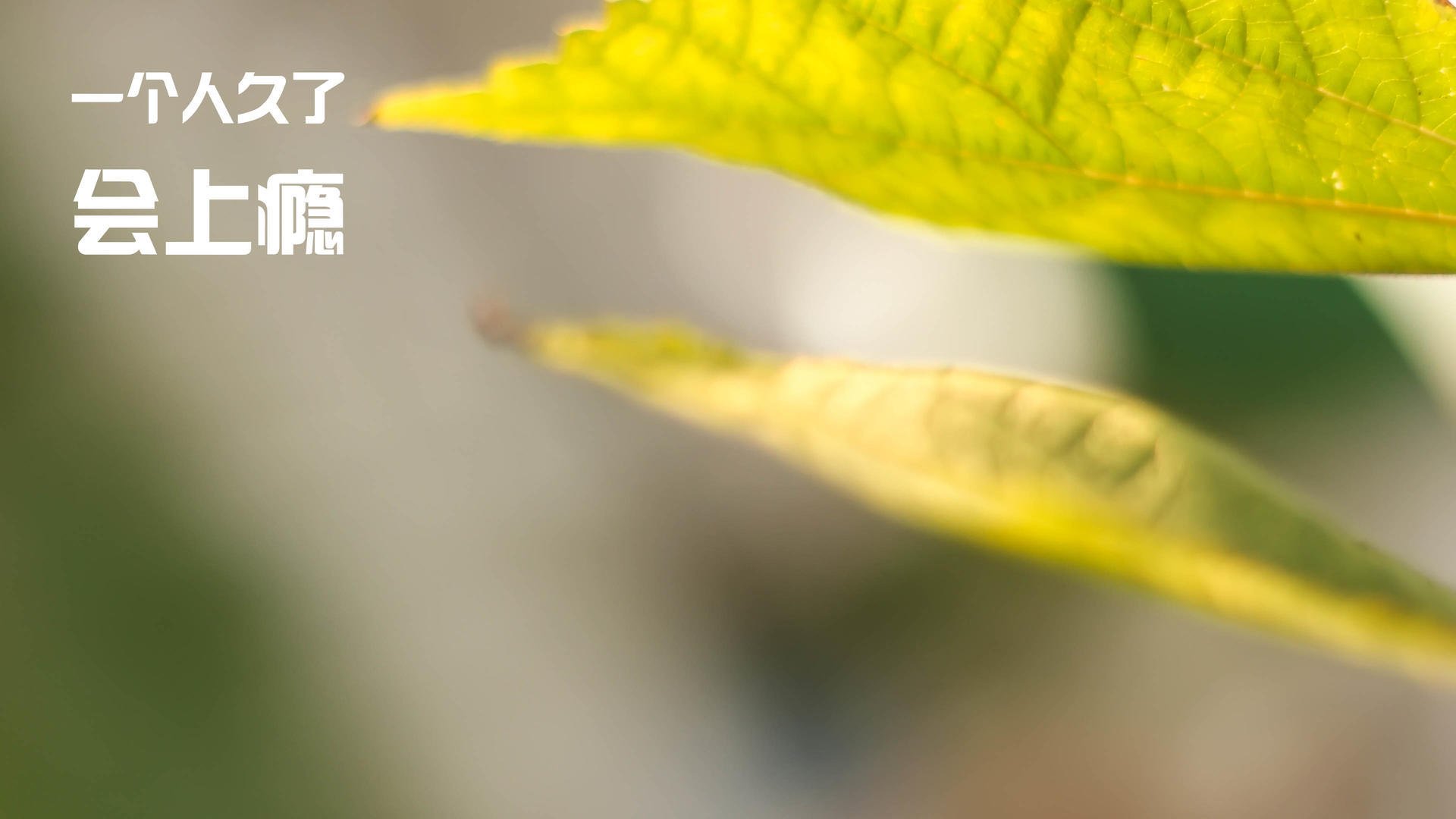 _网球比赛现场爆发激情:精彩瞬间盘点_,网球视频